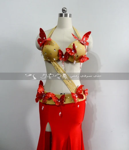 Oriental dancing costume Belly dance hair swinging Indian Egyptian costumes Bellydance clothes bra belt skirt dress 3046 | Тематическая