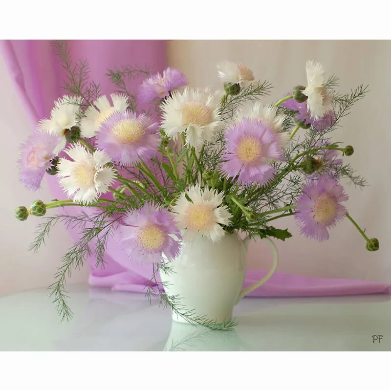 20*30 набор для домашней красоты Алмазная вышивка крестиком полностью квадратная