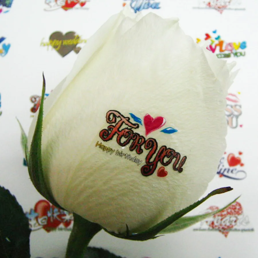 Принтер для ногтей и цветов с сенсорным экраном, 5 ручных ногтей, дизайн