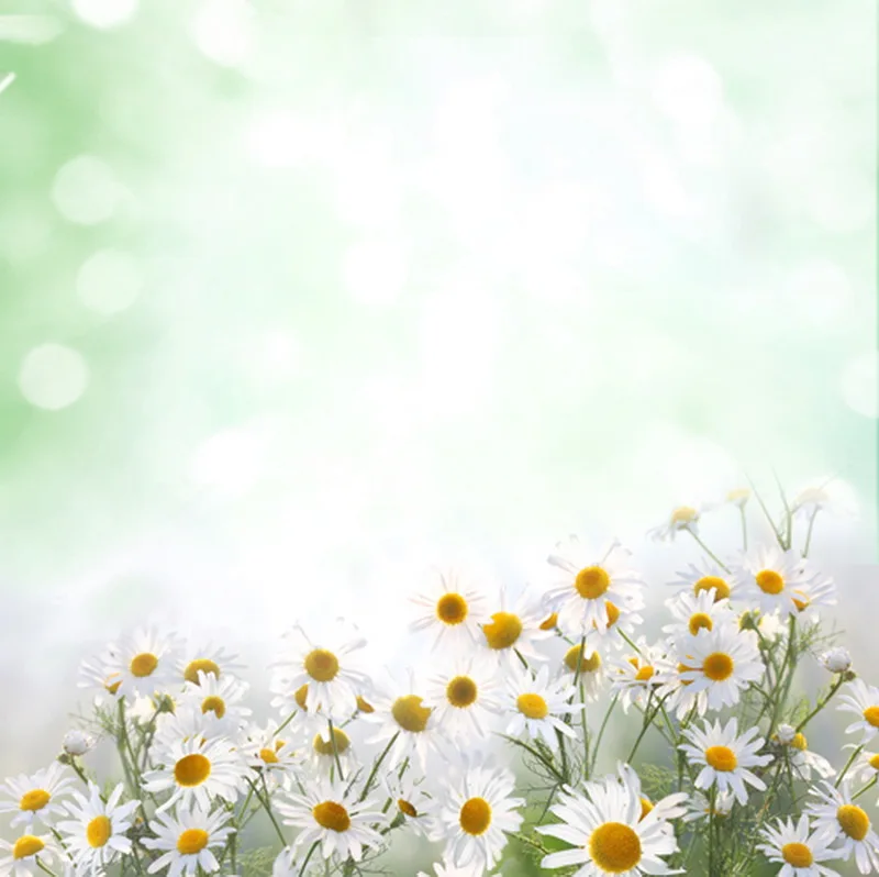 

5*7 футов природа живописный цветок фон, фантазия Солнечный свет свадебный фон виниловые фоны для фотостудии D4436