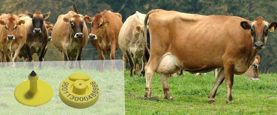 Прочный пассивный TPU 134,2 кГц FDX-B RFID EID Ушная бирка для свиней, коз, овец, коз, корова, животные, серьги, идентификация скота