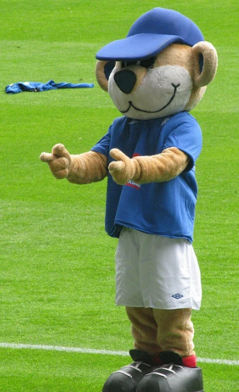 Быстрый обычай футбол спорт медведь Ньюкасл мультфильм талисман костюмы костюм