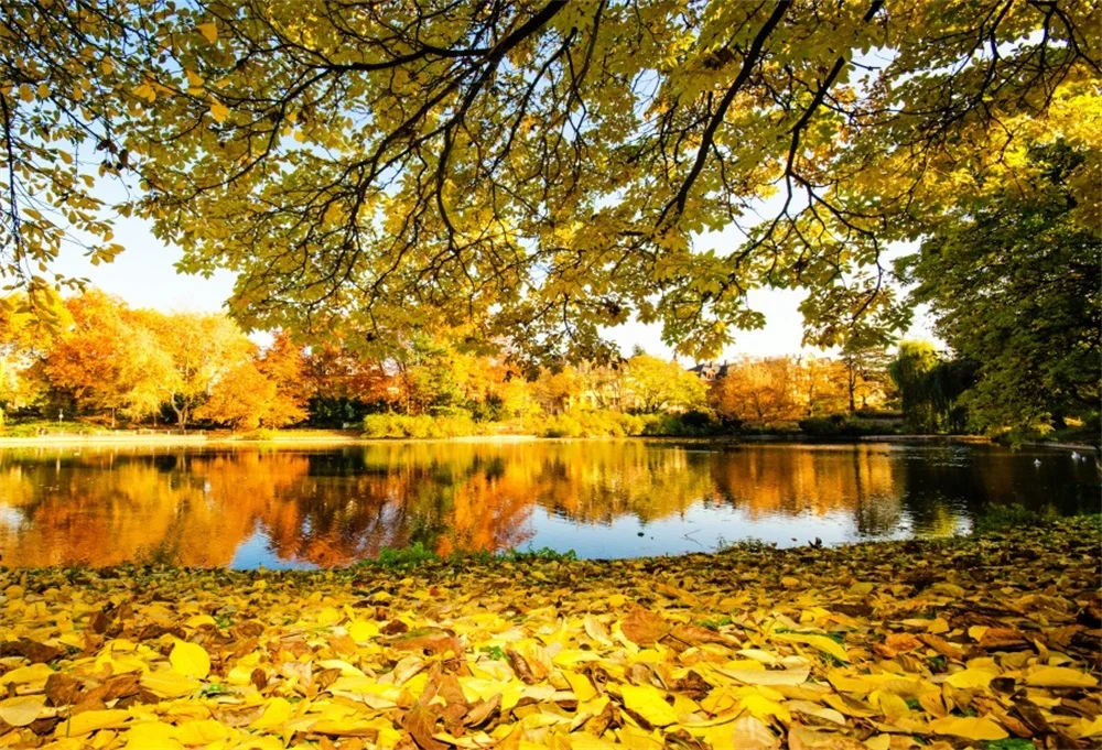 Laeacco Autumn Trees Fallen Yellow Leaves Lake Natural Scenic Photography Backgrounds Photographic Backdrops For Photo Studio |