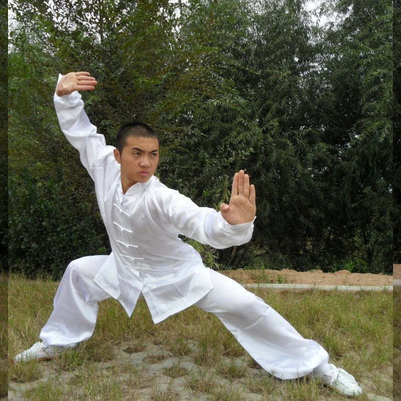 Мужская униформа aiкутami Wushu костюм Тай Чи однотонные свободные рубашки с длинным