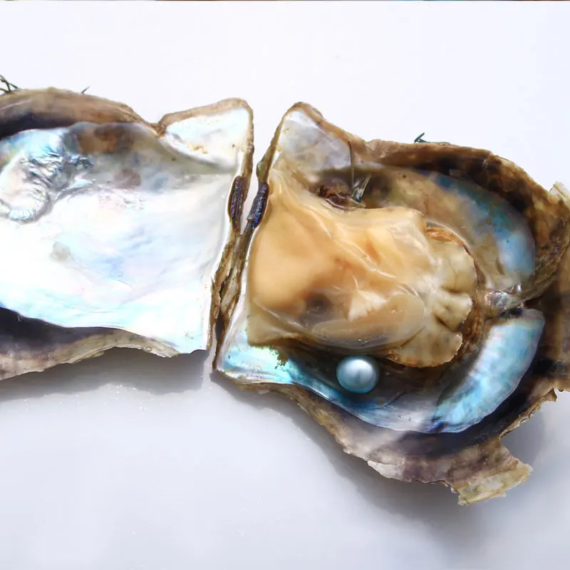 10 шт. низкая цена AAA одна специальная детская синяя Устрица акойя s 6 8 мм круглая