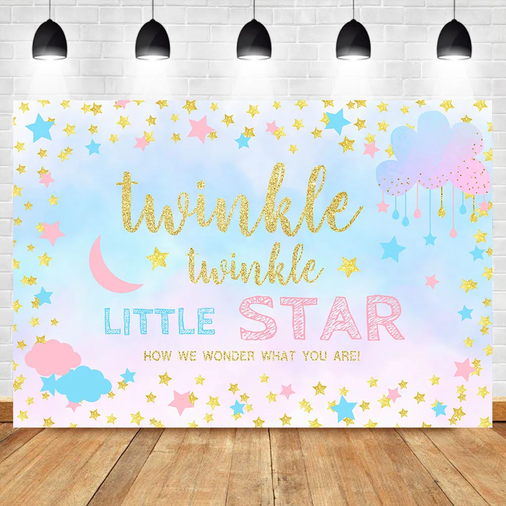 

Twinkle Twinkle Littler Star Gender Reveal Backdrop Pink and Blue Cloud Photography Background Gender Reveal Banner Backdrops