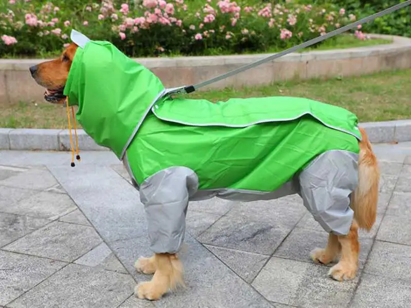 gray and green Pet большой плащ для собак из двери прогулки водонепроницаемый съемный дождевик защита от воды одежда для больших собак DOGGYZSTYLE - Цвет: gray and green
