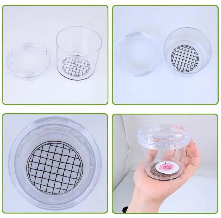 BOHS лупа для наблюдения за насекомыми научное увеличительное стекло