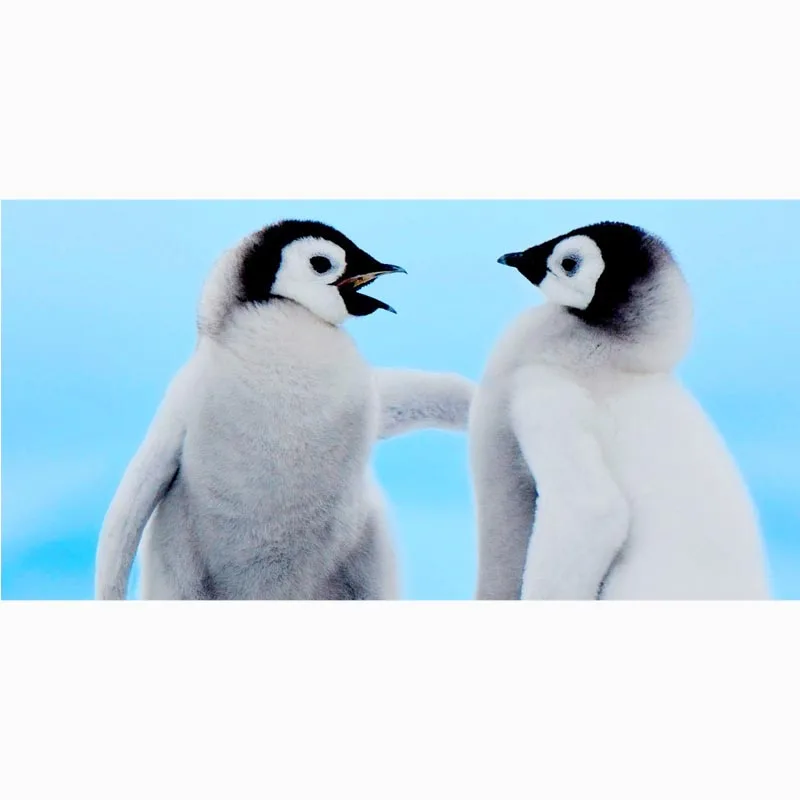 Penguins Print Microfiber Beach Towel Fast Drying Sport Gym Bath Towels Custom Yoga Mat Kids Throw Blanket 70 X 140CM | Дом и сад
