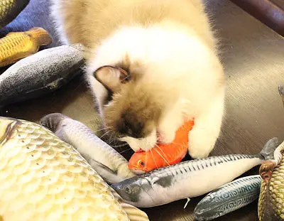 6 стилей новая мода съемный котенок домашней собаки кошка мята игра рыба плюшевые