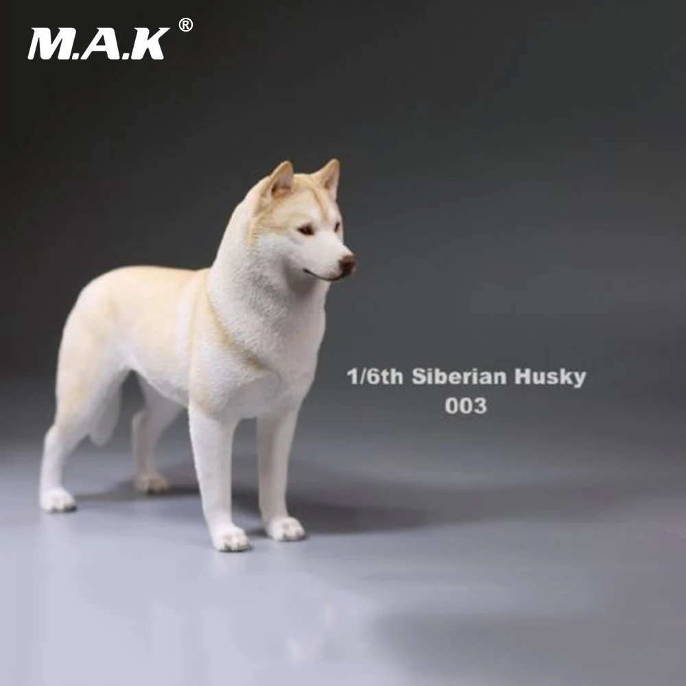 В наличии 1/6 фигурку аксессуар Сибирского Хаски моделирование Животные XVI 003 ПЭТ