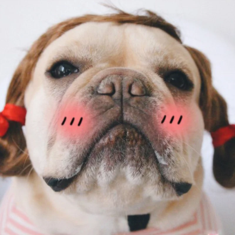 Мягкие синтетические волосы кудрявый парик шапочка для домашних животных собак