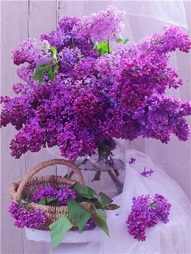 Фиолетовый 5D DIY Полная Алмазная Цветочная композиция ваза вышивка крестиком Алмазная вышивка мозаика украшение дома - Цвет: Фиолетовый