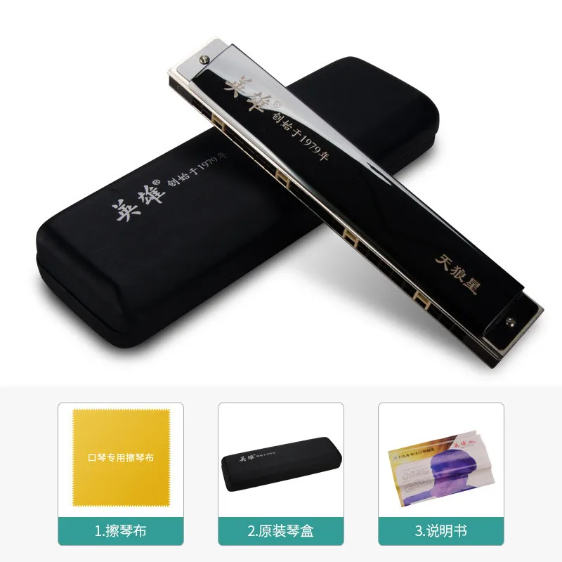 

24 Hole Tremolo Harmonica Adult Children Beginners Playing Musical Instrument Harmonica C Tone