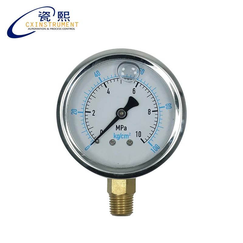 

Stainless Steel Pressure Gauge With 0~60 Mpa Measuring Range Radial Install Filled Liquid Gas Pressure Gauge