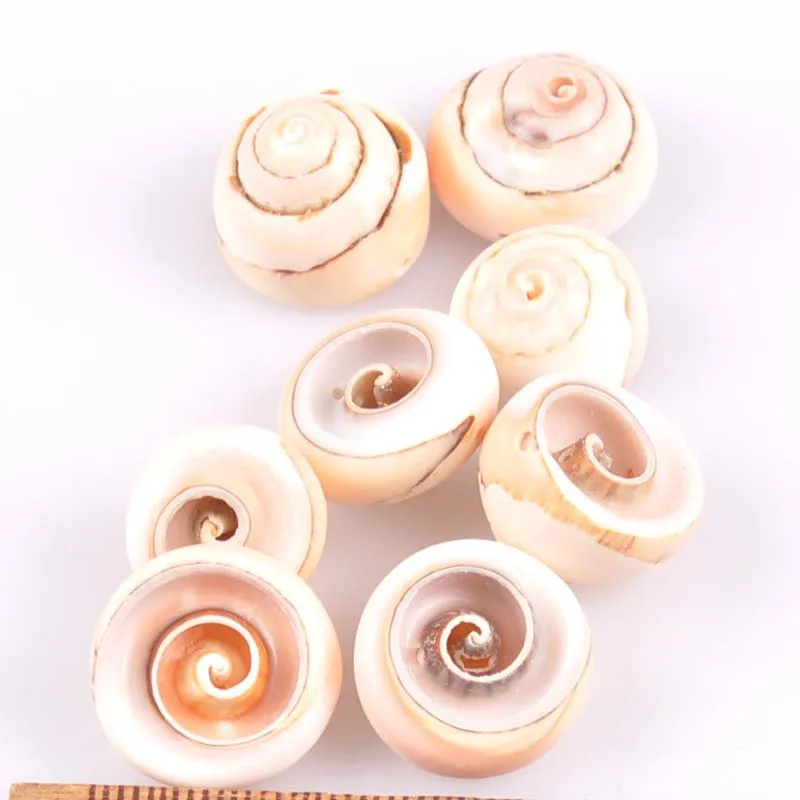 10 шт. спиральные ракушки для украшения дома 20 мм|crafts diy|craft scrapbookcraft seashells |