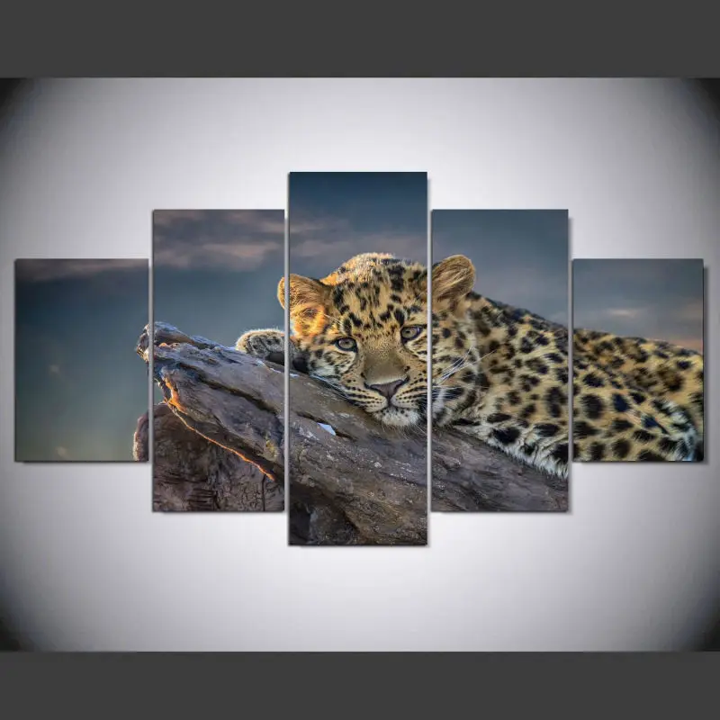 5 шт. HD холст картины с милым принтом животных пейзаж Модульная картина для