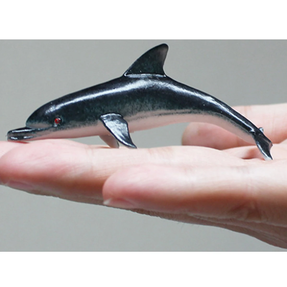 12 шт. вечерние модели для изучения морских животных, обучающие игрушки для детей, Обучающие учителя, Обучающие биологию