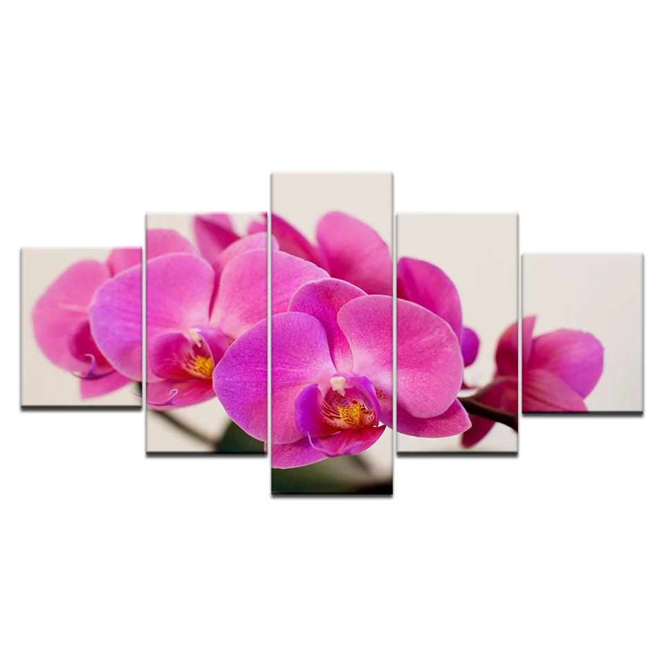 5 панелей/шт HD Печать моли орхидеи цветы настенные плакаты на холсте