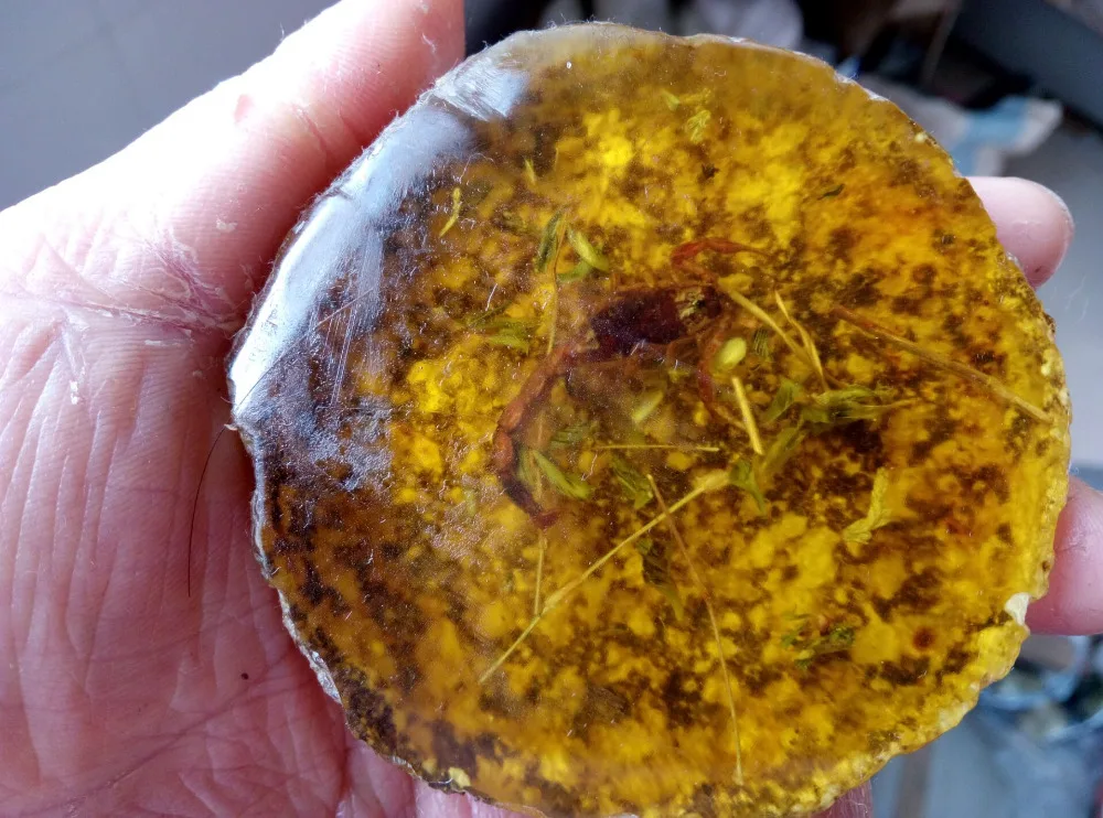75.1g Rare Decorated Pure Handwork Amber imitations Scorpion Inlay Big Statue | Дом и сад
