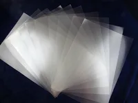 60''x30m Sandy Face Semi - Transparent Mylar Film Roll - Photo Paper -  AliExpress