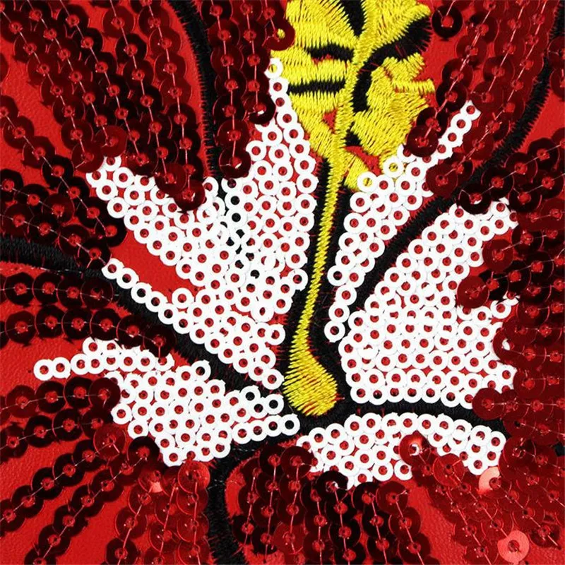 Одежда для мужчин и девочек с блестками красная пластырь 22 см коралловые цветы