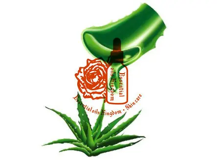 

Free shopping 100% plant material extracts Aloe vera extract repair moisturizing whitening skin care aloe extract liquid