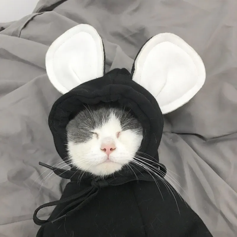 Gomaomi костюм для кошек одежда собак толстовка маленьких средних кошек|cat costume|pet cat