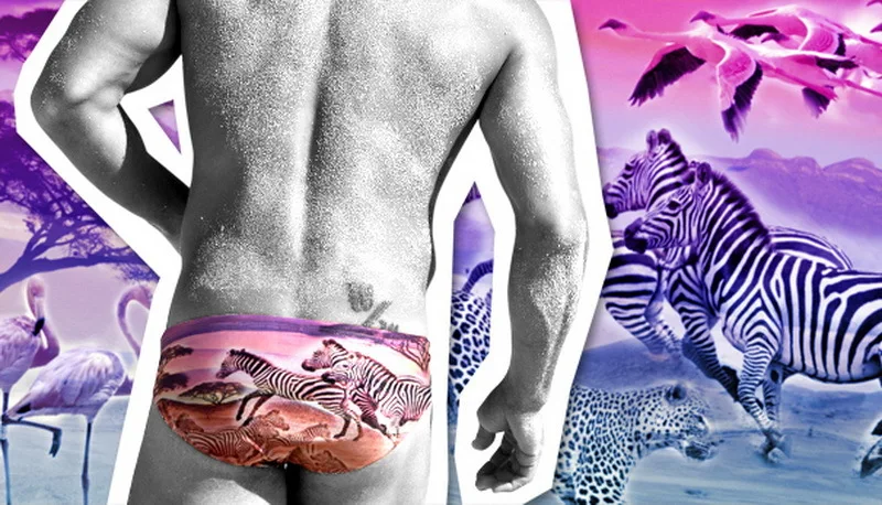 Swimming Men Beach Pool Sexy Swimsuit Hot Swim Trunks Speedo Swimwear Man Low Waisted Boy Swimming Wear Print Animal Birds Swim