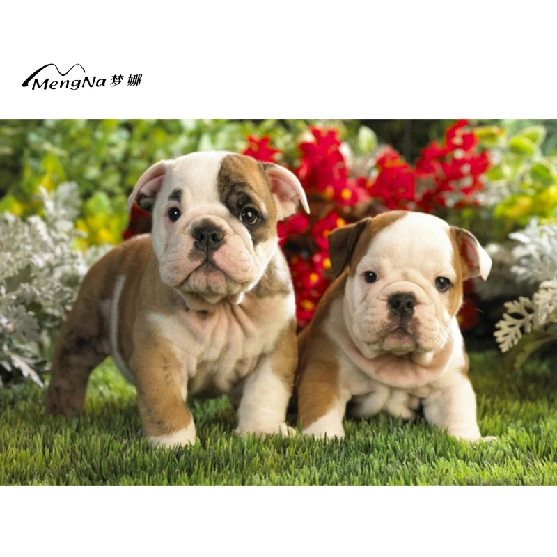 MengNa прекрасный бульдог круглый алмазов картина вышивки крестом Алмаз Вышивка