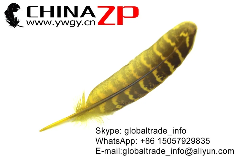 CHINAZP завод 100 шт./лот хорошее качество Цветной желтый натуральный Ringneck Несушка