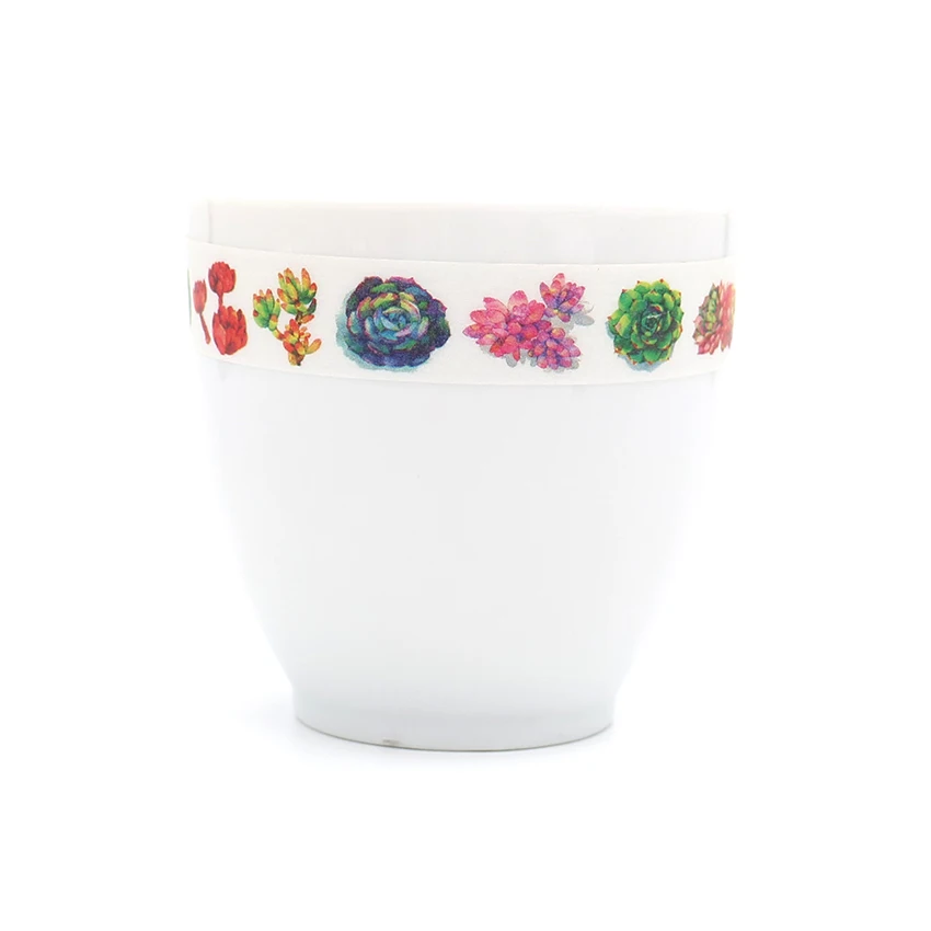 Упакопосылка коробка лента для суккулентов Васи клейкие стикеры Маскировочная с