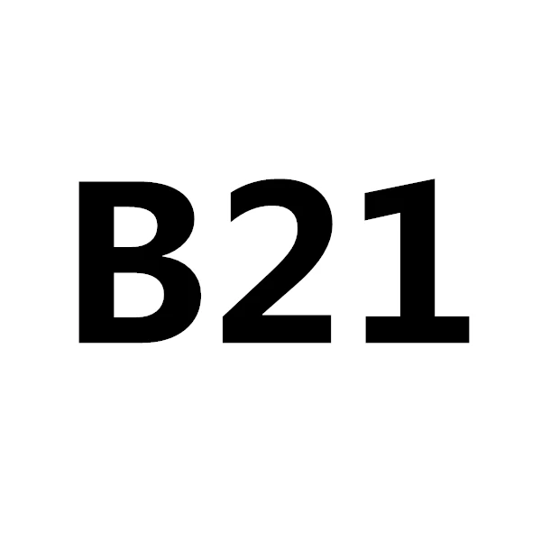 B21 FLYJ автомобильная краска-спрей, керамическое покрытие для автомобиля, средство для удаления царапин, полировка кузова, комбинированная краска для ремонта, pulidora, авто для nissan - Цвет: B21