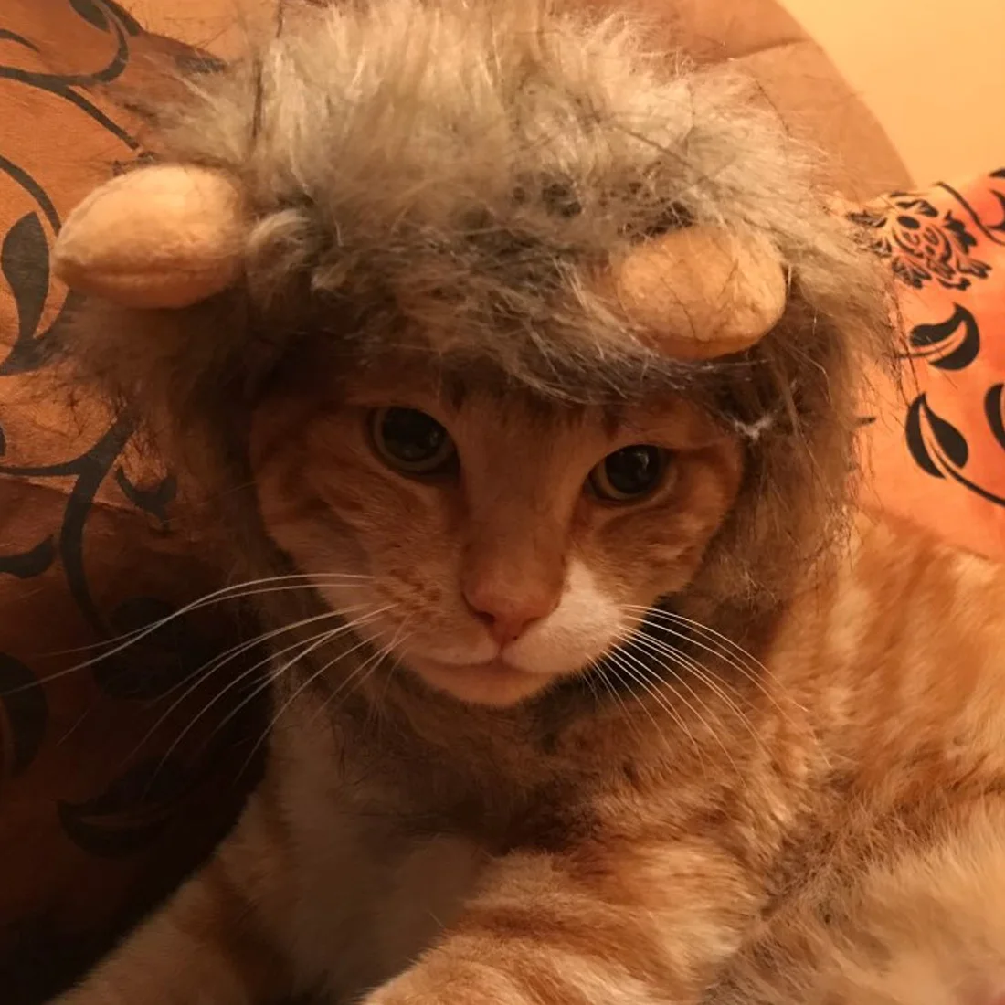 Забавный костюм для домашних животных Косплей льва грива парик шапка кошки