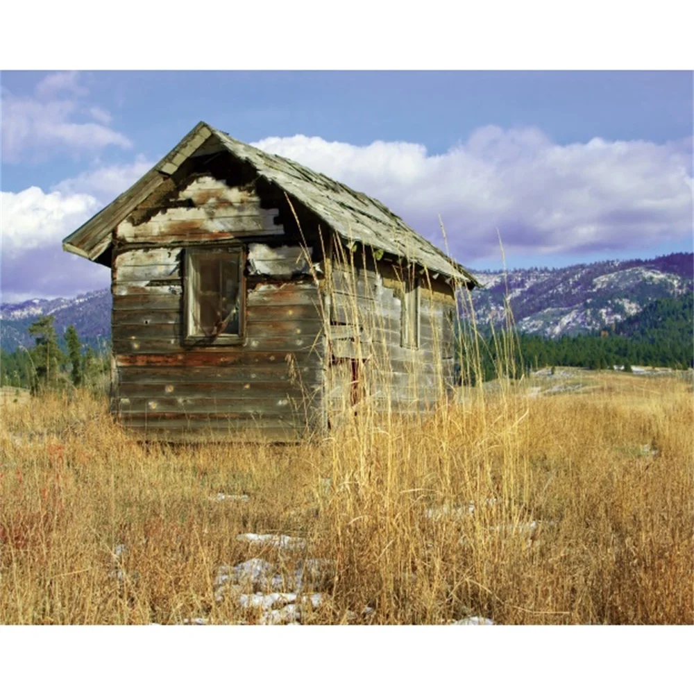 

Laeacco Canvas Calligraphy Painting Wooden Cabin Stands on Grassy Hillside Posters and Prints Wall Art Pictures for Living Room
