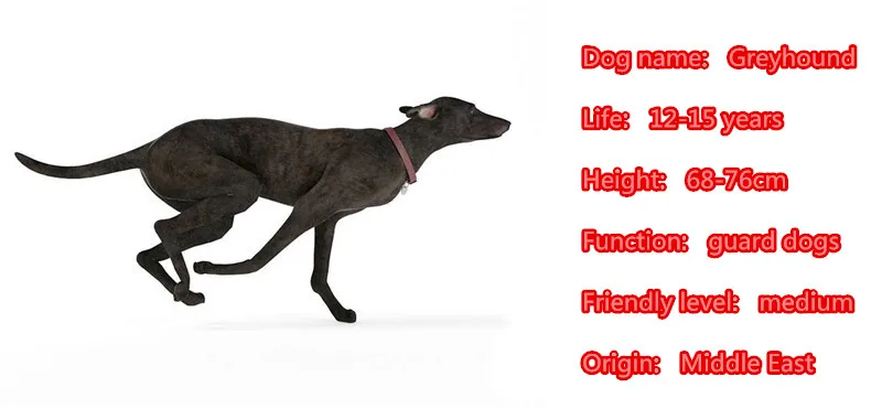 Ожерелье Greyhound Teddy с подвеской в виде собаки ювелирное изделие золотым и