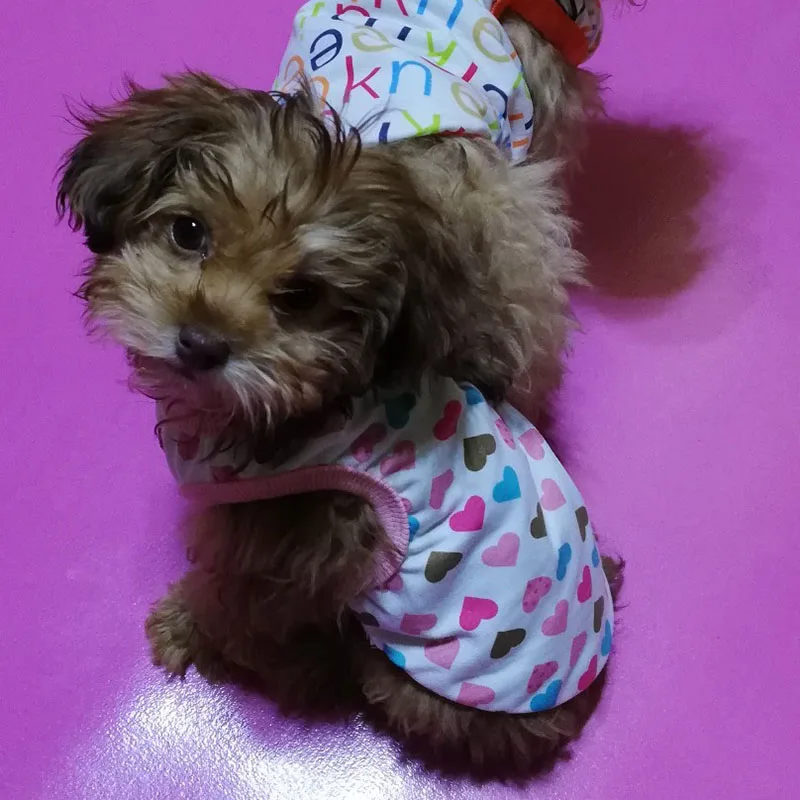 Pet Puppy Small Dog Vest Soft Cotton Shirt T-shirt for Pets Cat Puppy Dog Clothes Teddy Bulldog Pug Apparel in Spring and Summer