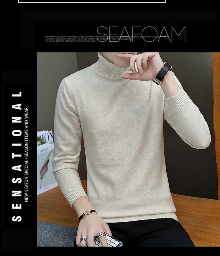 brand Autumn New Men's Turtleneck Sweaters Male Black white Sexy Slim Fit Knitted Pullovers Solid Casual Sweaters Knitwear