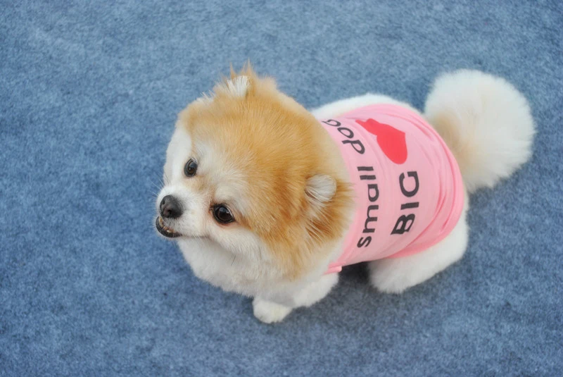 Pet Puppy Summer Vest Small Dog Cat Dogs Clothing Cotton T Shirt Apparel Clothes Supplies | Дом и сад