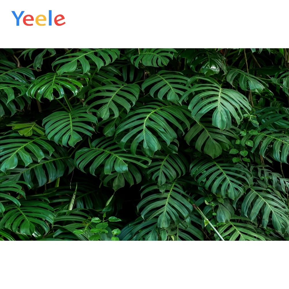 

Yeele Tropical Leaves Jungle Plant Scenic Summer Photography Backgrounds Customized Photographic Backdrops for Photo Studio