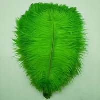 wholasale 10pcslot green ostrich feathers for crafts 15 70cm carnival costumes party home wedding decorations natural plumas