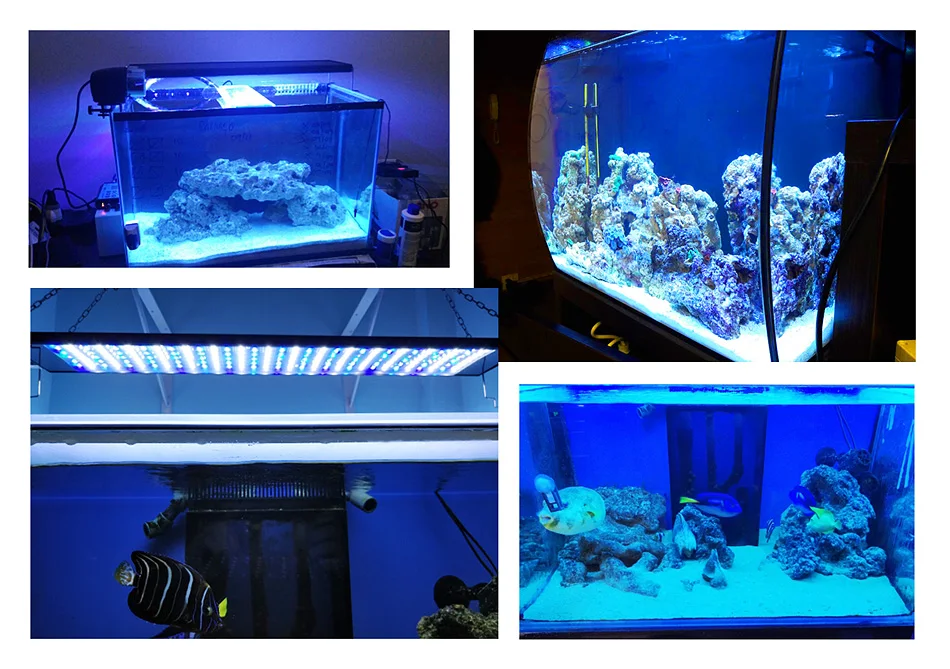 LICAH морской аквариумный светодиодный фонарь STD-1200