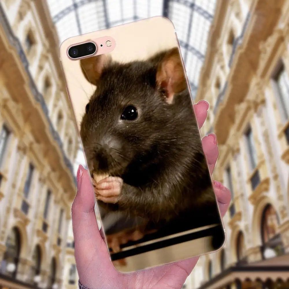 Высококачественные классические Чехлы для мобильных телефонов Rat Classic Apple iPhone X XS