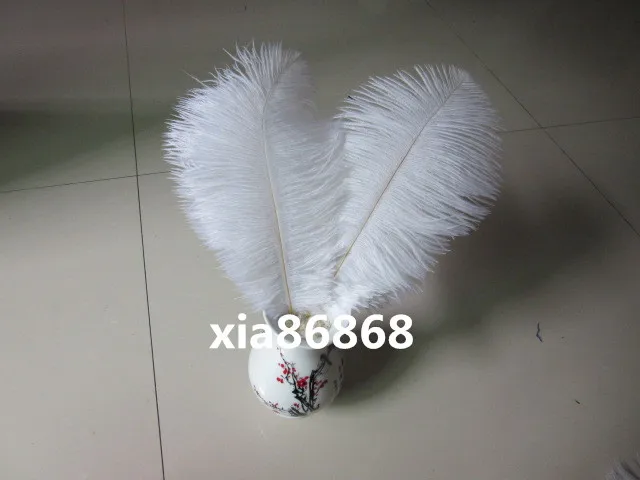 

hot! free shipping wholesale 50PCs white ostrich feather wedding decoration DIY6-8inches / 15-20cm