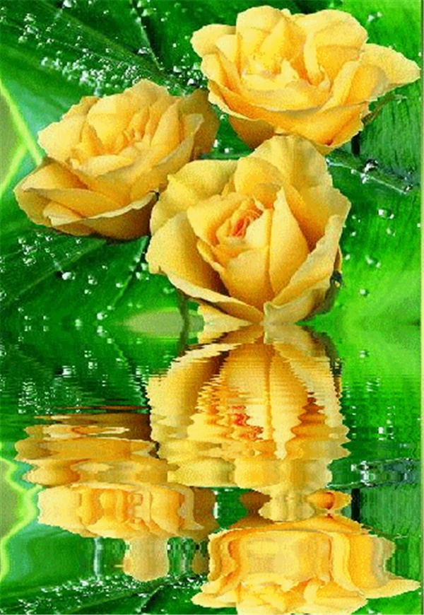 Рукоделие DIY картина вышитая бисером комплекты полный смолы квадратный алмаз