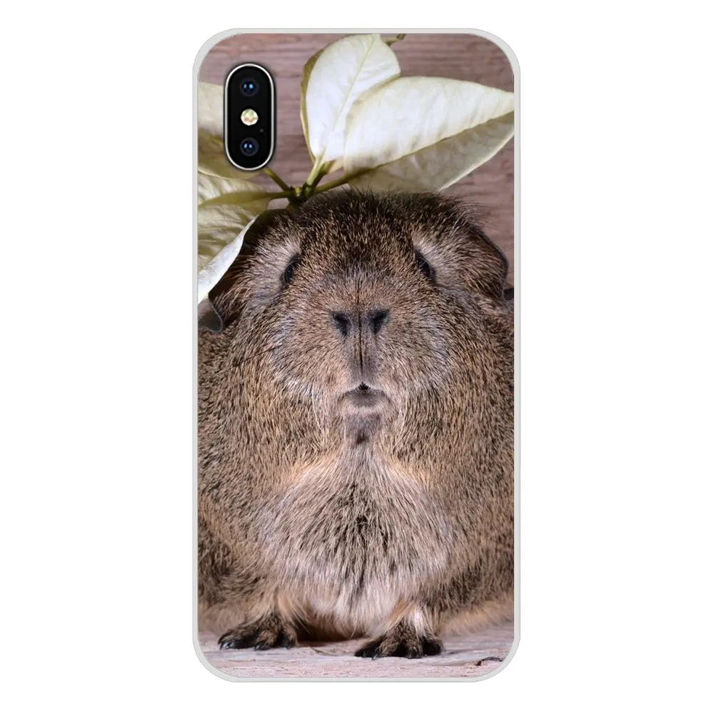 Аксессуары чехлы для телефонов Xiaomi Mi6 A1 5X 6X Redmi Note 5 5A 4X 4A 4 3 Plus Pro pocophone F1