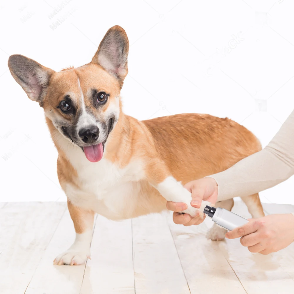 Перезаряжаемые собака Гриндер для ногтей Usb зарядка Pet кусачки для ногтей электрическая собака кот лапы для ногтей Уход за лошадьми Триммер Инструменты кусачки для ногтей