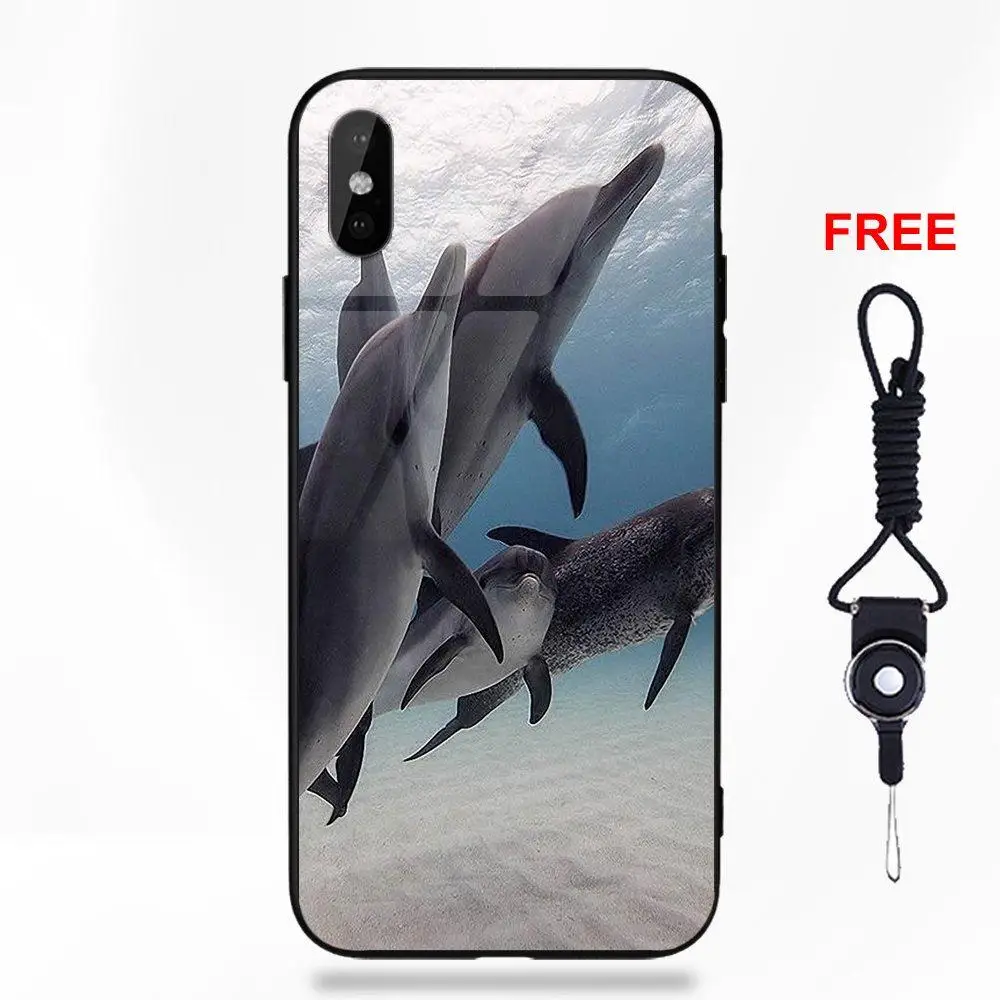 Мягкие TPU оправа закаленное стекло чехол для телефона Apple iPhone 5 5C 5S SE 6 S 7 8 Plus X XS Max XR
