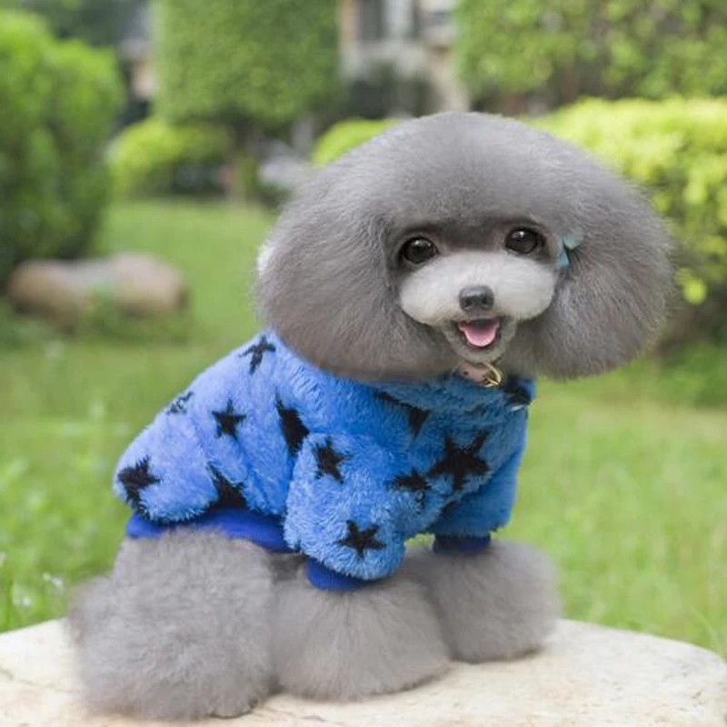 Осень зима теплые Pet Одежда с принтом в виде собак модный дизайн собаки из