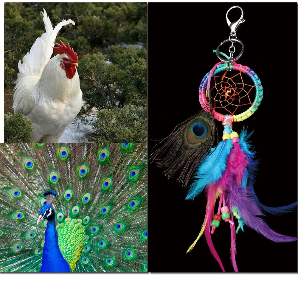 Colorful dreamer fashion gift handmade Indian wind-bell pendant captures home wall art decoration | Дом и сад